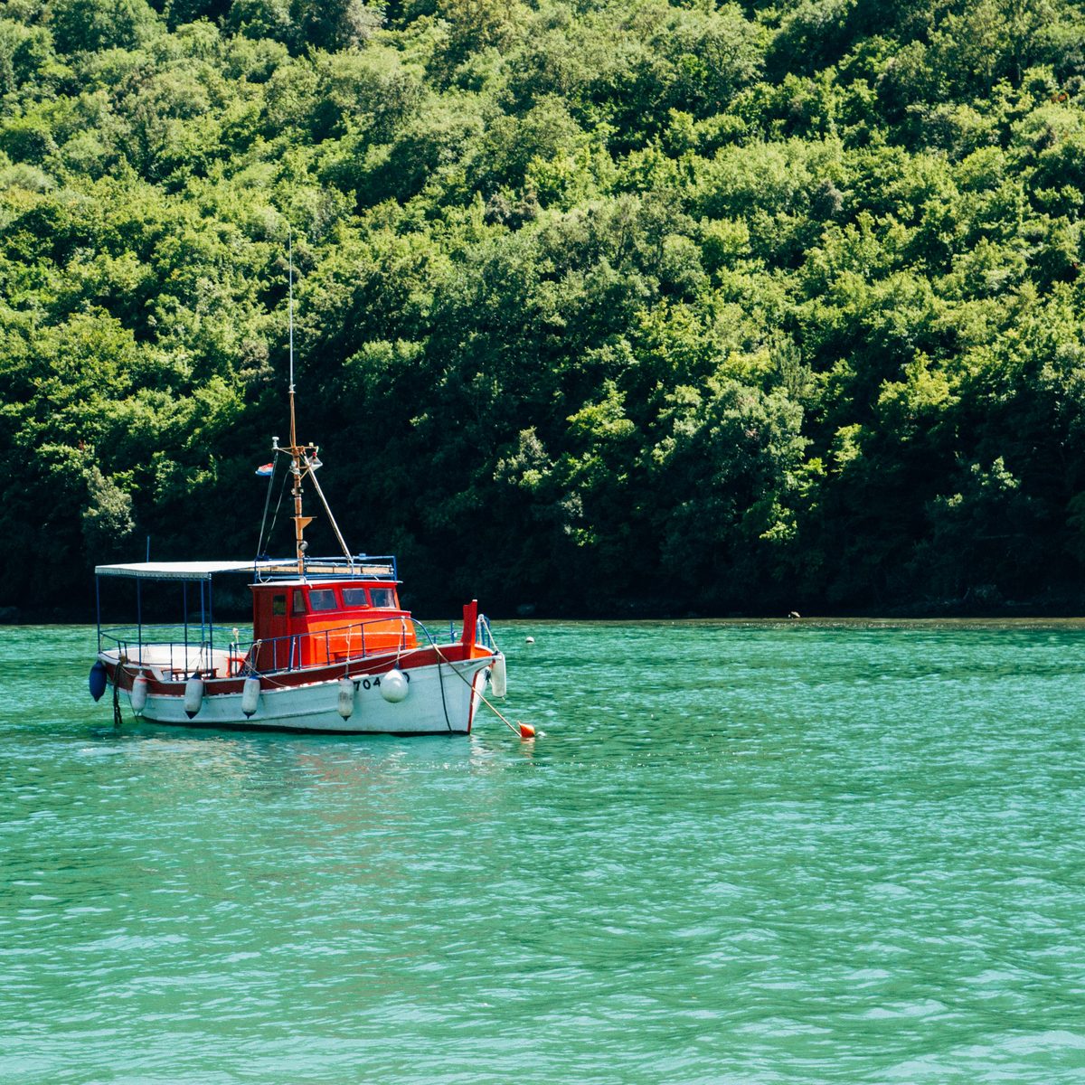 A small red and white boat on turquoise water below a green wooded hillside